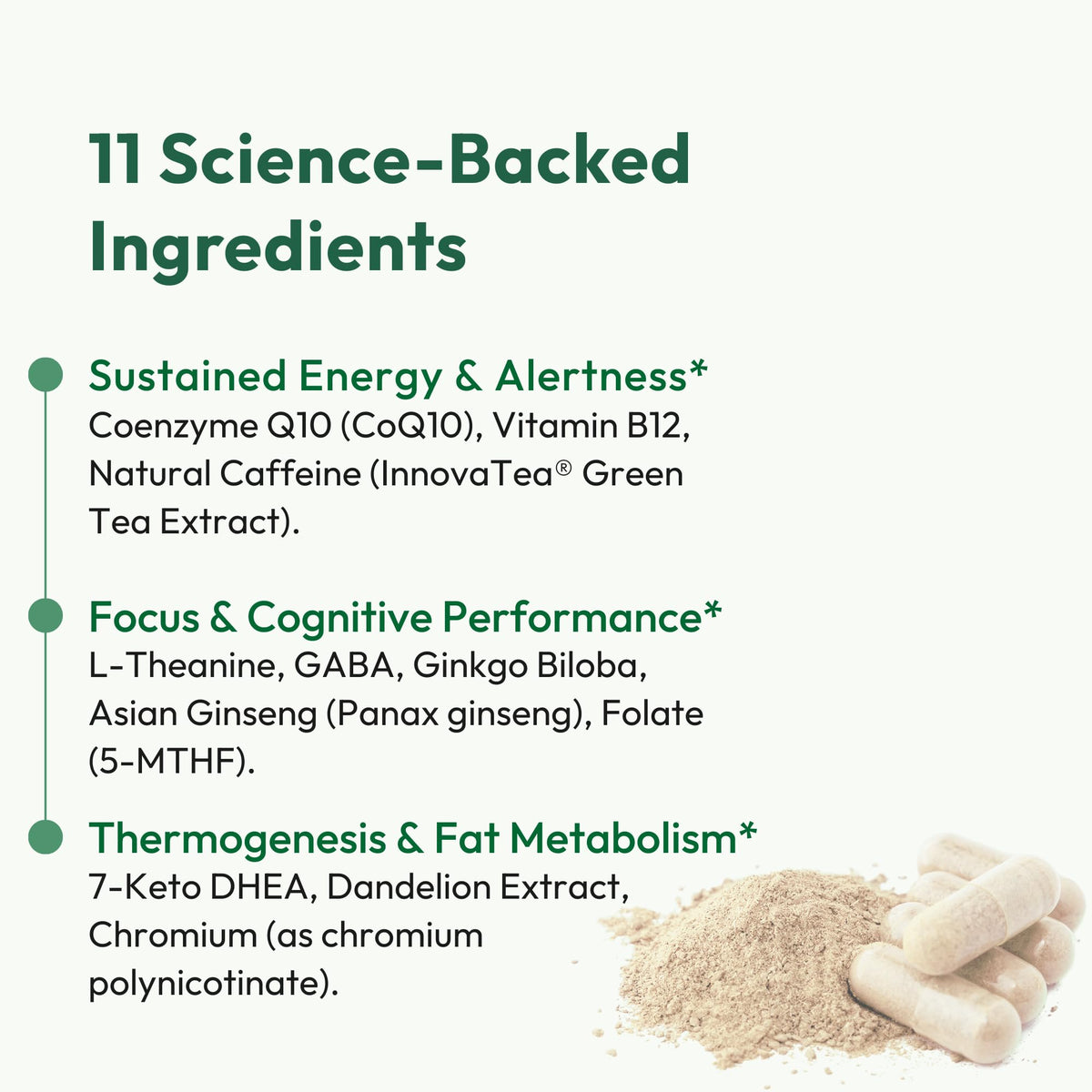 Daily Boost for Women & Men 3-in-1 Metabolism, Focus & Steady Energy Support | 7-Keto DHEA, Green Tea Caffeine, CoQ10 & Ginseng | 90 Capsules Mida Health buy supplements Au