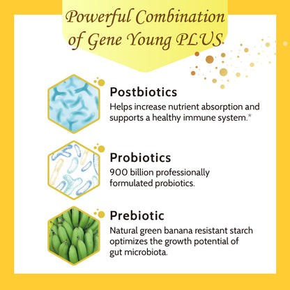 Fecula Biotech Superfood Resistant Starch,Prebiotics Supplement,Bifidobacterium longum Fecula BiotechBuy Supplements Australia