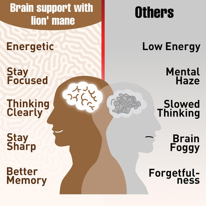 Ashwagandha & Lions Mane Supplements Capsules, Brain Supplements for Memory and Focus, Ashwagandha with Rhodiola Rosea for Cognitive, Immune Support, Cortisol Supplements for Women, 90 Capsules ZylvraxBuy Supplements Australia