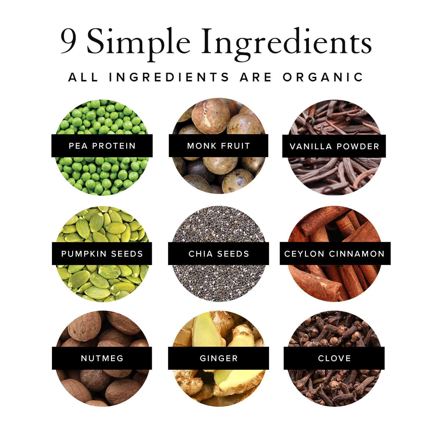 Truvani Organic Vegan Protein Powder Pumpkin Spice - 20g of Plant Based Protein TruvaniBuy Supplements Australia