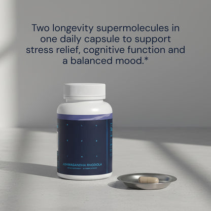 Blueprint Bryan Johnson Ashwagandha & Rhodiola Supplement – 120mg Ashwagandha + Rhodiola Root – Daily Adaptogen Capsules for Stress Support, Mood Balance, Energy & Focus – 30 Vegan Capsules Blueprint Bryan JohnsonBuy Supplements Australia