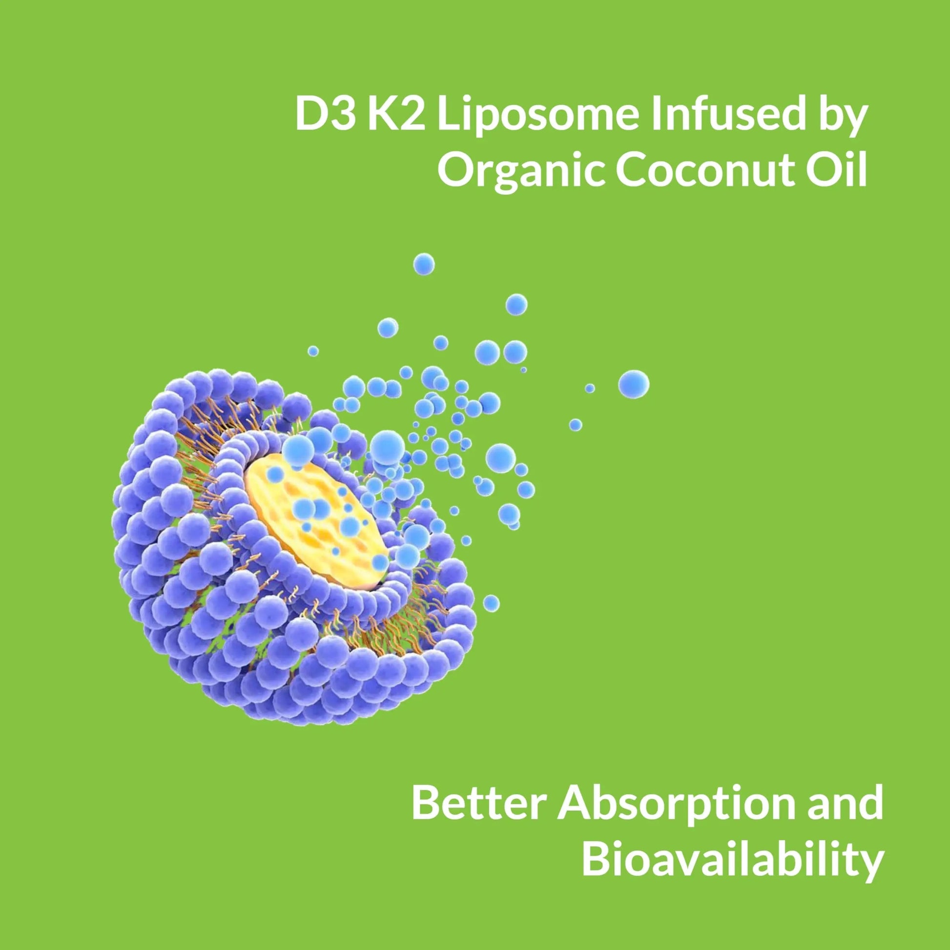 UpNourish Liposomal D3 K2 Vitamin 10000 IU D3 and K2 MK-7 200 mcg - 180 Vitamin D3 k2 (Vitamina D3 con K2) Mini Softgels - Easy to Swallow K2 D3 Vitamin UpNourish buy supplements Au