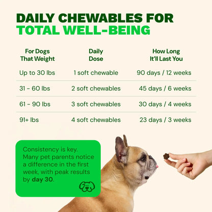 Get Joy Digestion Chews, Gut Health Supplement for Dogs, Vet Recommended Soft Daily Digestive Health & Immune Support with Prebiotics, Probiotics & Postbiotics, Made in USA, 90 Count Get JoyBuy Supplements Australia