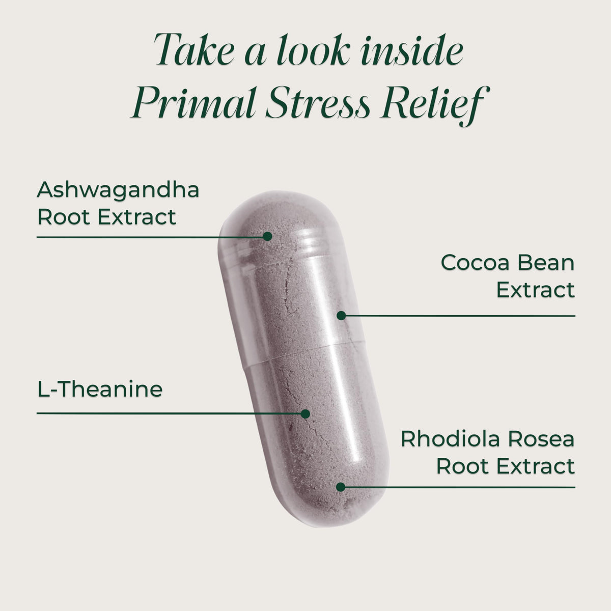 Primal Harvest Stress Relief Supplement for Women and Men Pure Ashwagandha Root Extract, L-Theanine Supplements, 30 Capsules Primal HarvestBuy Supplements Australia