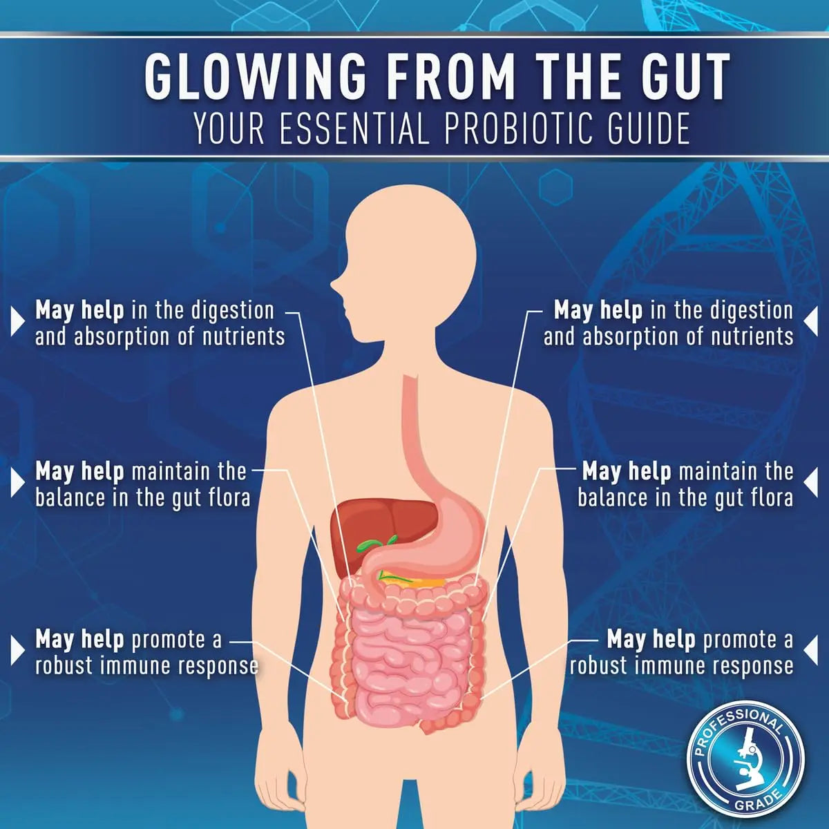 Purely Optimal Probiotics for Digestive Health, 60 Billion CFU – Delayed-Release with Digestive Enzymes & Organic Prebiotics – Bloating, Immune & Energy Support, 30 Caps Purely OptimalBuy Supplements Australia