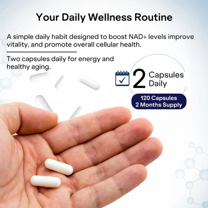 Liposomal NAD+ Supplement with Resveratrol - Nicotinamide Riboside 1000 Mg - NAD Supplements for Women & Men - NMN Supplement Alternative - Advanced NAD Resveratrol for Cellular Energy - 120 Capsules PharmlitaliaBuy Supplements Australia