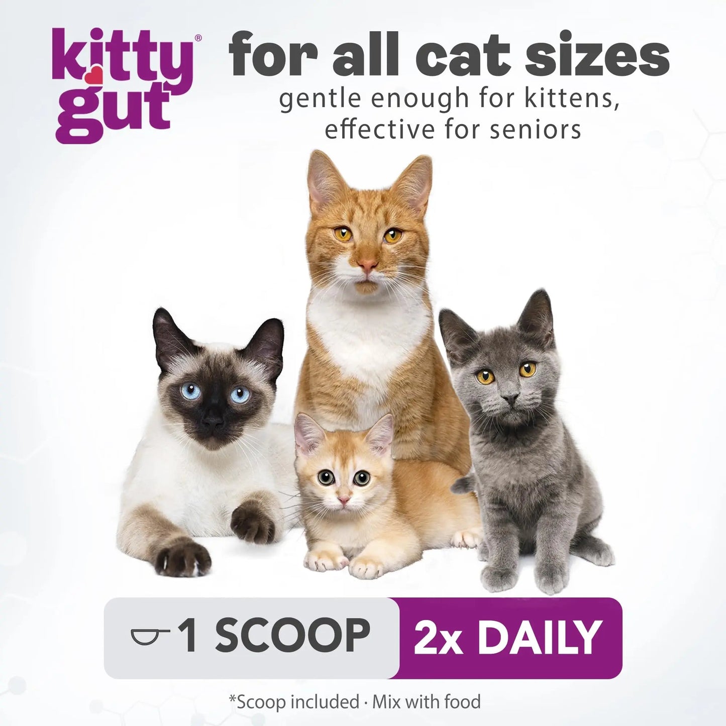 KittyGut 3-in-1 Organic Cat Probiotics & Postbiotic Supplement Powder- Made in USA-Probiotics for Cats Promote Gut Health and Cat Digestive Support, Diarrhea and Vomiting (60g) MUTTGUTBuy Supplements Australia