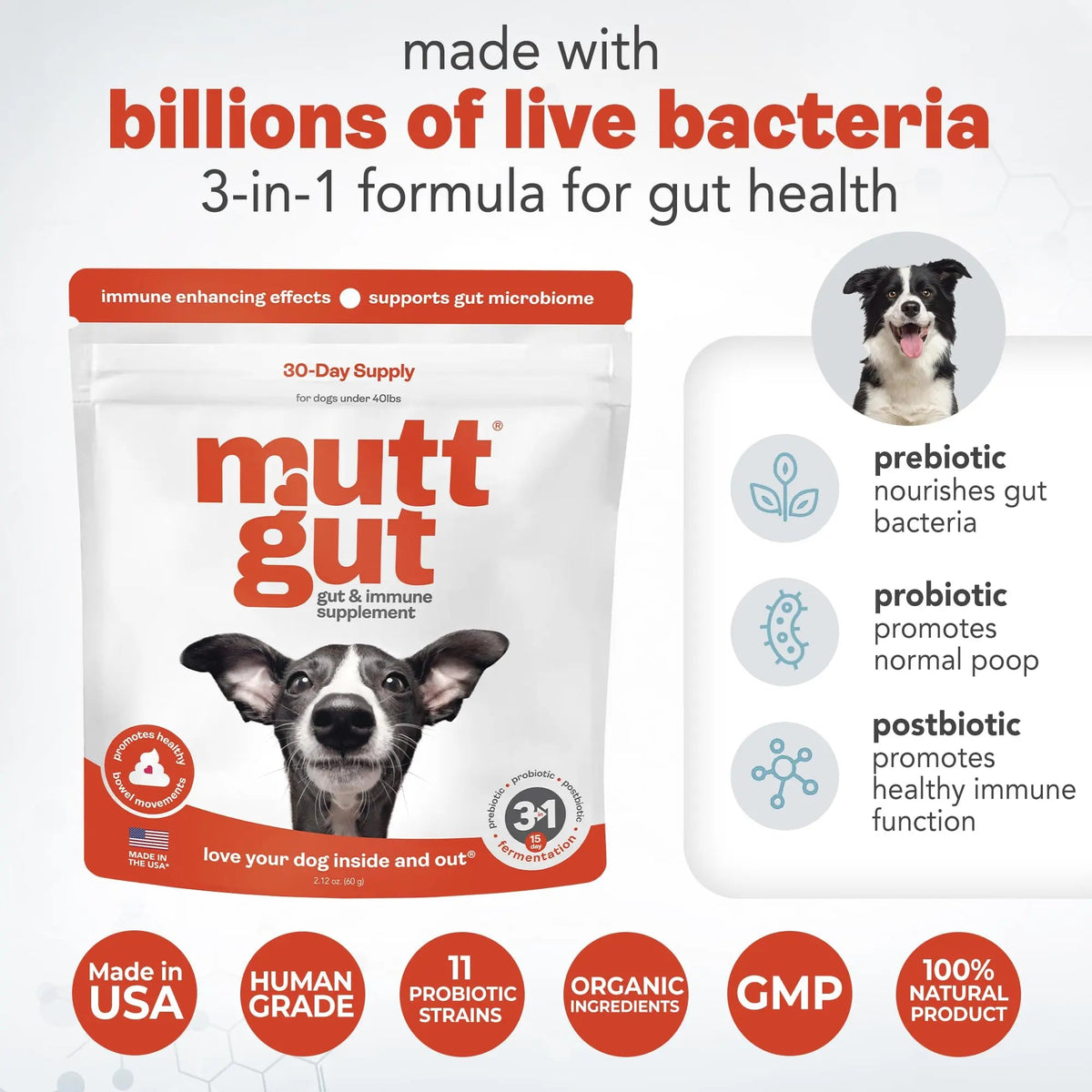 All-Natural 3-in-1 Dog Probiotic, Prebiotic, and Postbiotic Supplement Powder - Probiotics for Dogs with 135 Billion CFUs, Anti Diarrhea, Digestive Enzymes & Antioxidants (60g) MUTTGUTBuy Supplements Australia