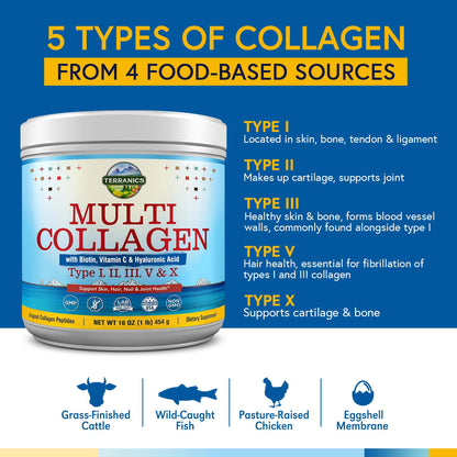 Terranics Multi Collagen Powder Type I II II V X with Biotin VC Hyaluronic Acid, Paleo TerranicsBuy Supplements Australia