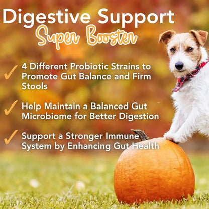 iHeartDogs Pupkin Probiotics, Prebiotics, Postbiotics, & Fiber for Dogs with Pumpkin, Gut Soothing Bone Broth & Mushrooms iHeartDogsBuy Supplements Australia