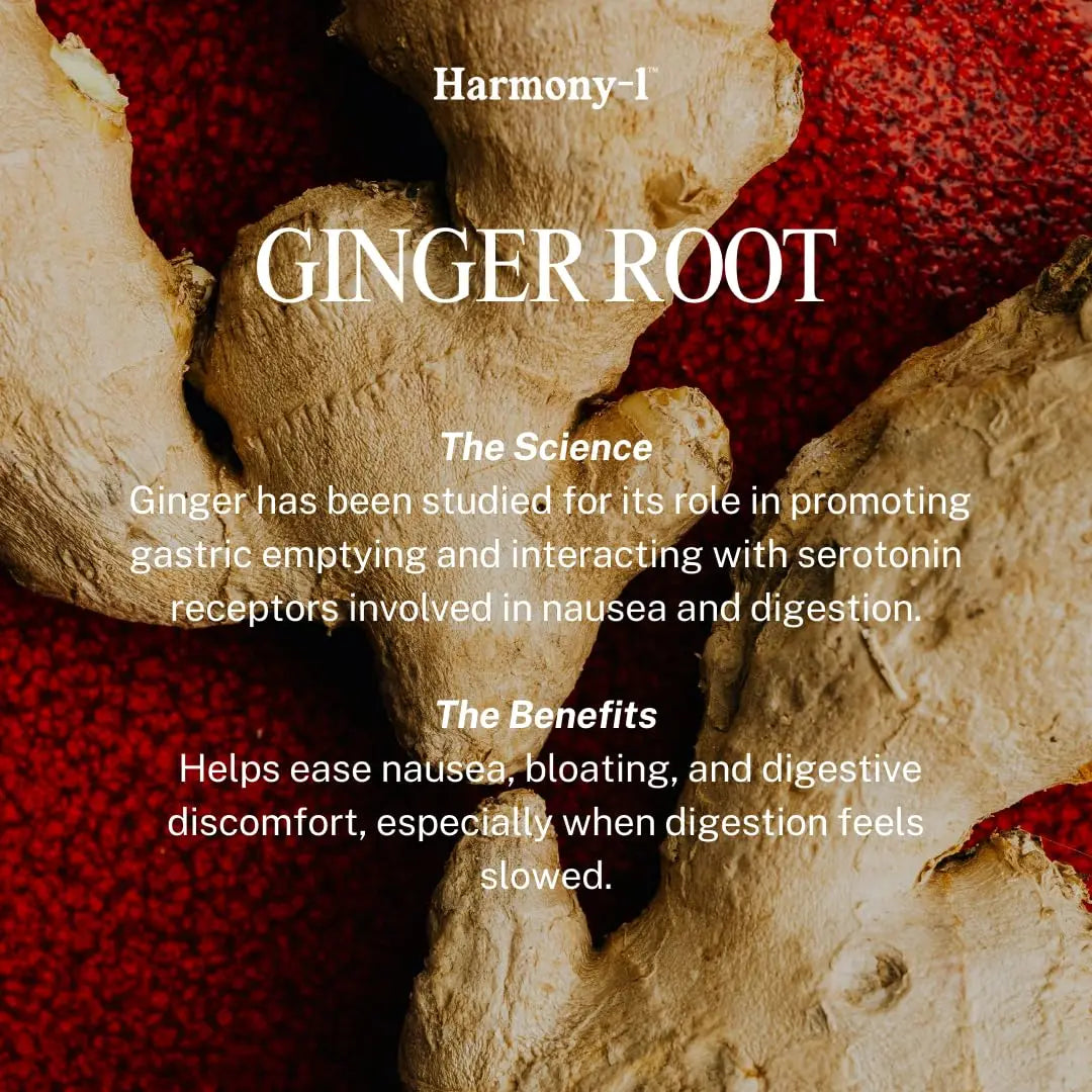 Harmony-1 Gut Health Supplement — Digestive Enzymes + Probiotics for Bloating Relief & Digestive Comfort — GLP-1 Friendly Digestive Support — 60 Capsules Harmony-1 buy supplements Au