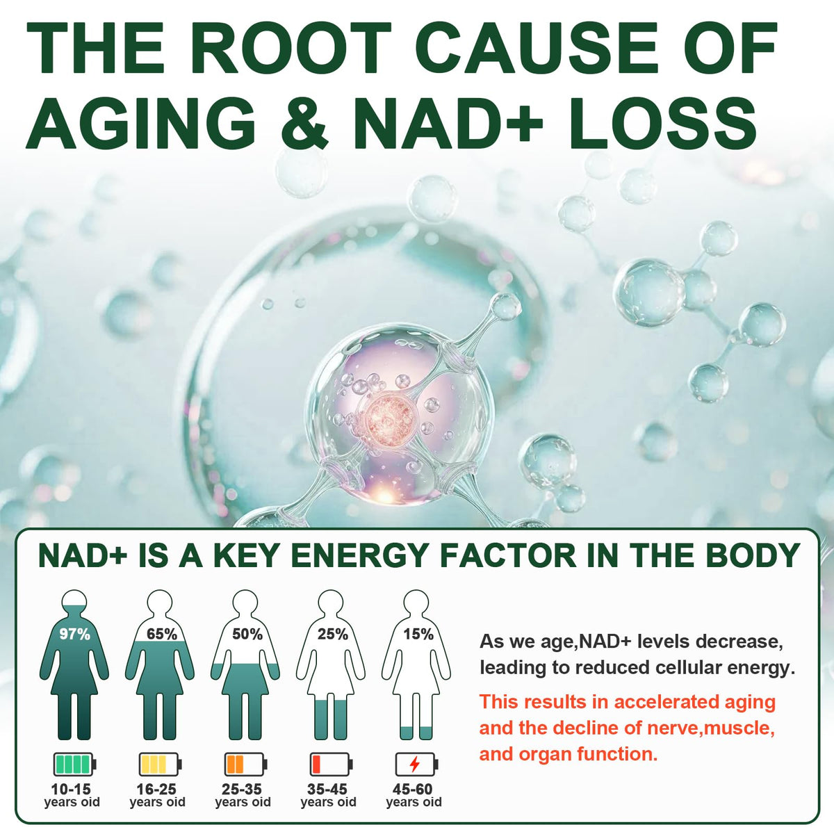 Vikaywoo NAD Supplement 1585 Mg -True NAD & Resveratrol, NMN Alternative Liposomal NAD+ for Women & Men, Support Cellular Health, Stamina & Healthy Aging - 120 Capsules VikaywooBuy Supplements Australia