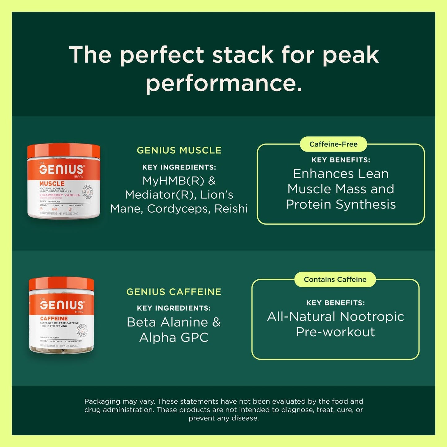 The Genius Brand Protein Powder - Chocolate + Adaptogenic Mushroom Blend - Plant-Based Protein with Reishi, Cordyceps & Lion’s Mane - Daily Muscle Recovery & Immune Support - 20 Servings The Genius BrandBuy Supplements Australia