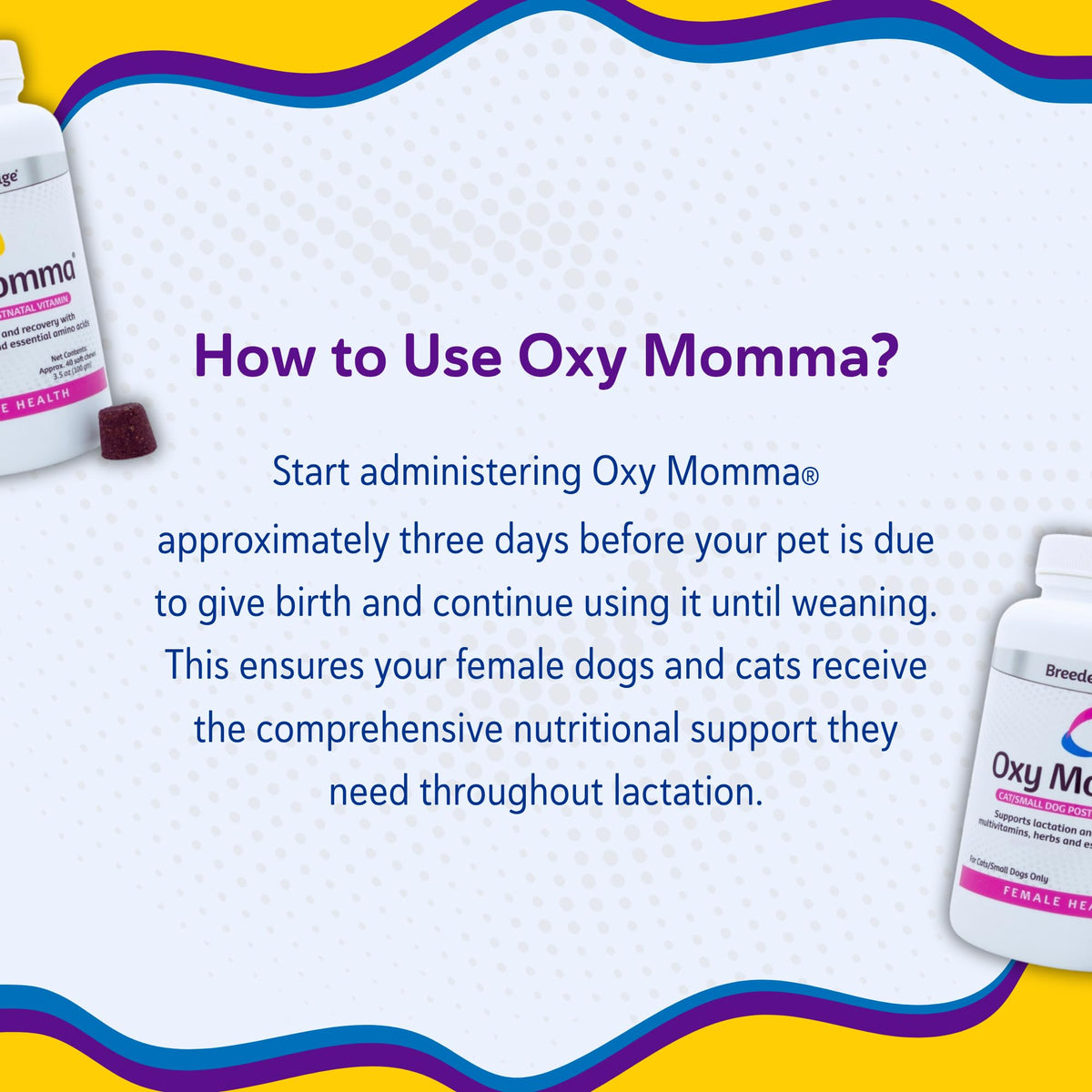 Breeder's Edge Oxy Momma Soft Chews, Postnatal Vitamin Supplement for Lactating Dogs and Cats, Supports Recovery, Hormones, and Next Pregnancy - for Small Dogs & Cats, 40ct Soft Chews Revival Animal HealthBuy Supplements Australia