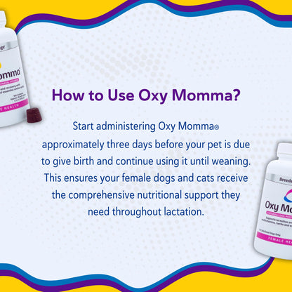 Breeder's Edge Oxy Momma Soft Chews, Postnatal Vitamin Supplement for Lactating Dogs and Cats, Supports Recovery, Hormones, and Next Pregnancy - for Small Dogs & Cats, 40ct Soft Chews Revival Animal HealthBuy Supplements Australia