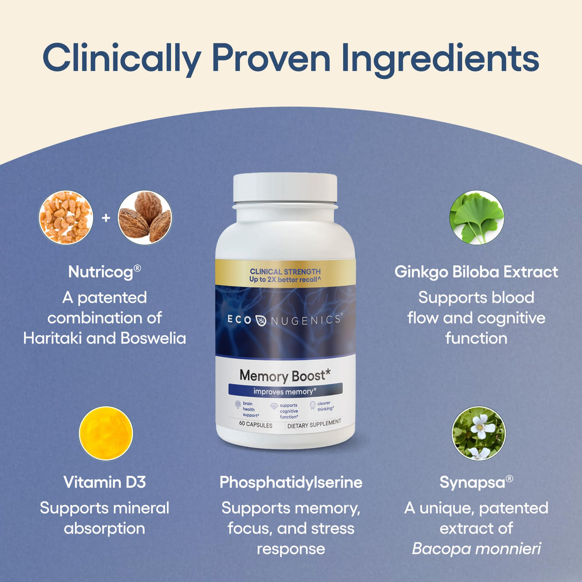 EcoNugenics Memory Boost Supplement – Clinically Studied Ingredients to Support Brain Focus & Health – Nootropic Formula with Bacopa Monnieri, Boswellia Serrata