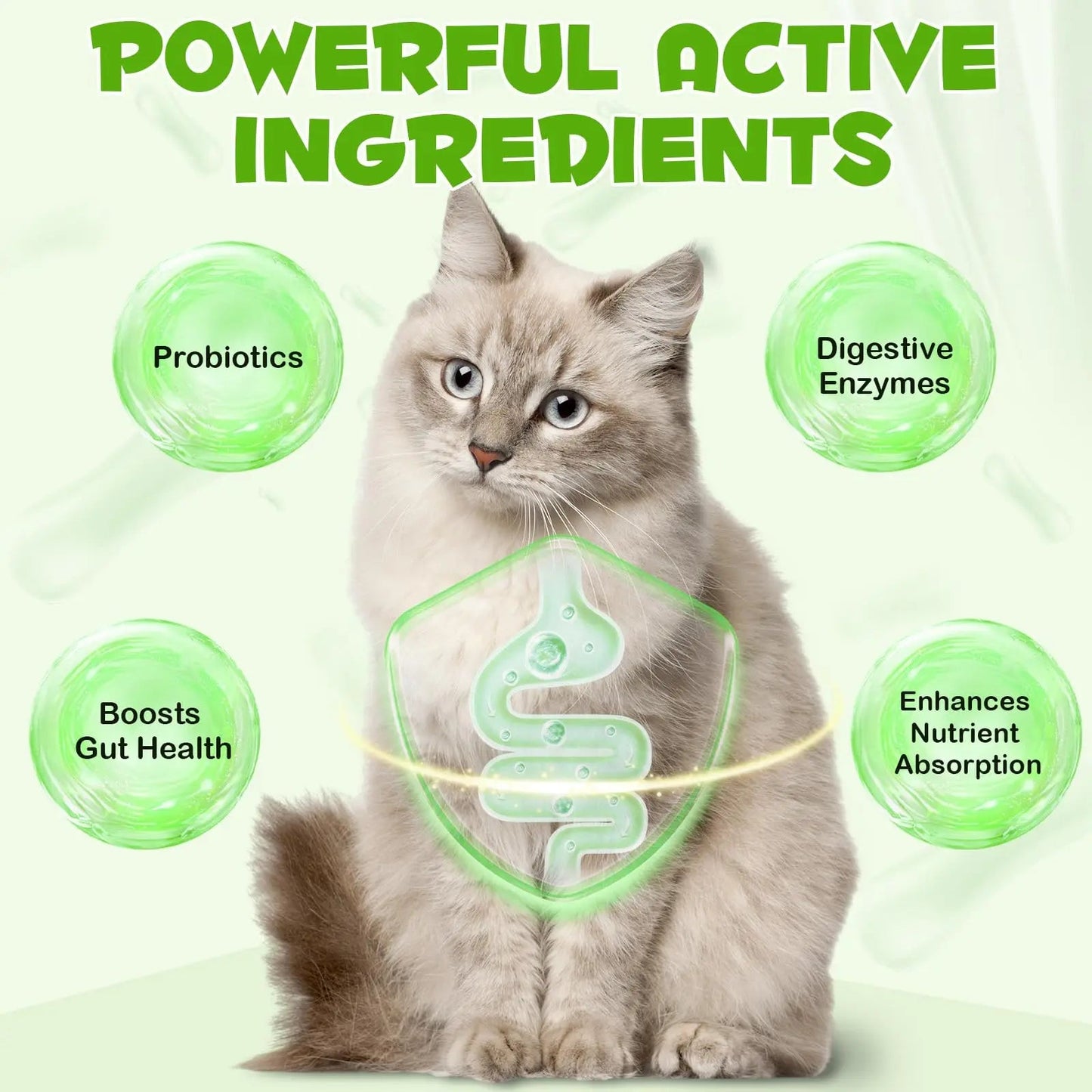Liquid Cat Probiotic, Natural 3 in 1 Probiotic for Cats, Cat Digestive Support,Gut Health Support,Help with Diarrhea,Gas and Bloating, Cat Herbal Supplements- 60ml VOSIFSDIY buy supplements Au