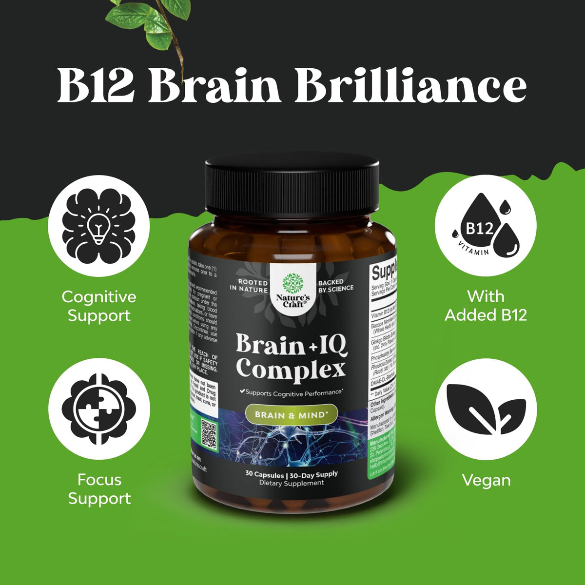 Nootropic Memory Supplement for Brain Support - Memory Pills for Brain Boost and Natural Energy Booster - Vitamin B 12 Bacopa Monnieri Rhodiola Rosea DMAE Ginkgo Biloba Phosphatidylserine Supplement Natures CraftBuy Supplements Australia