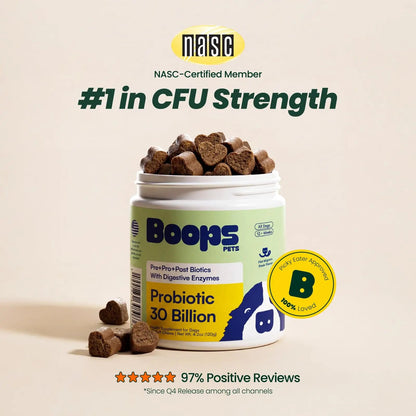 Boops Pets Probiotics for Dogs – 30 Billion CFU with Pre, Postbiotics & Digestive Enzymes – Supports Gut Health, Immunity, Loose Stools & Allergies – Filet Mignon Flavor – Vet Formulated – 60 Chews Boops PetsBuy Supplements Australia