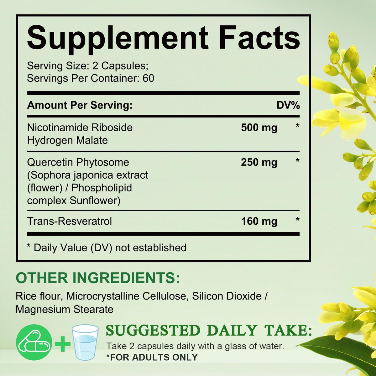 NAD Supplement, Nicotinamide Riboside, NAD 910MG Liposomal Supplements for Women & Men, NAD+ Supplement for Anti Aging and Cell Regeneration -120 Capsules NIFEISHIBuy Supplements Australia