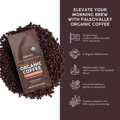 Paleovalley Organic Ground Coffee, 10oz - Regular, Low Acid, Single-Origin, Polyphenol-Rich, Infused with Mushrooms PaleovalleyBuy Supplements Australia