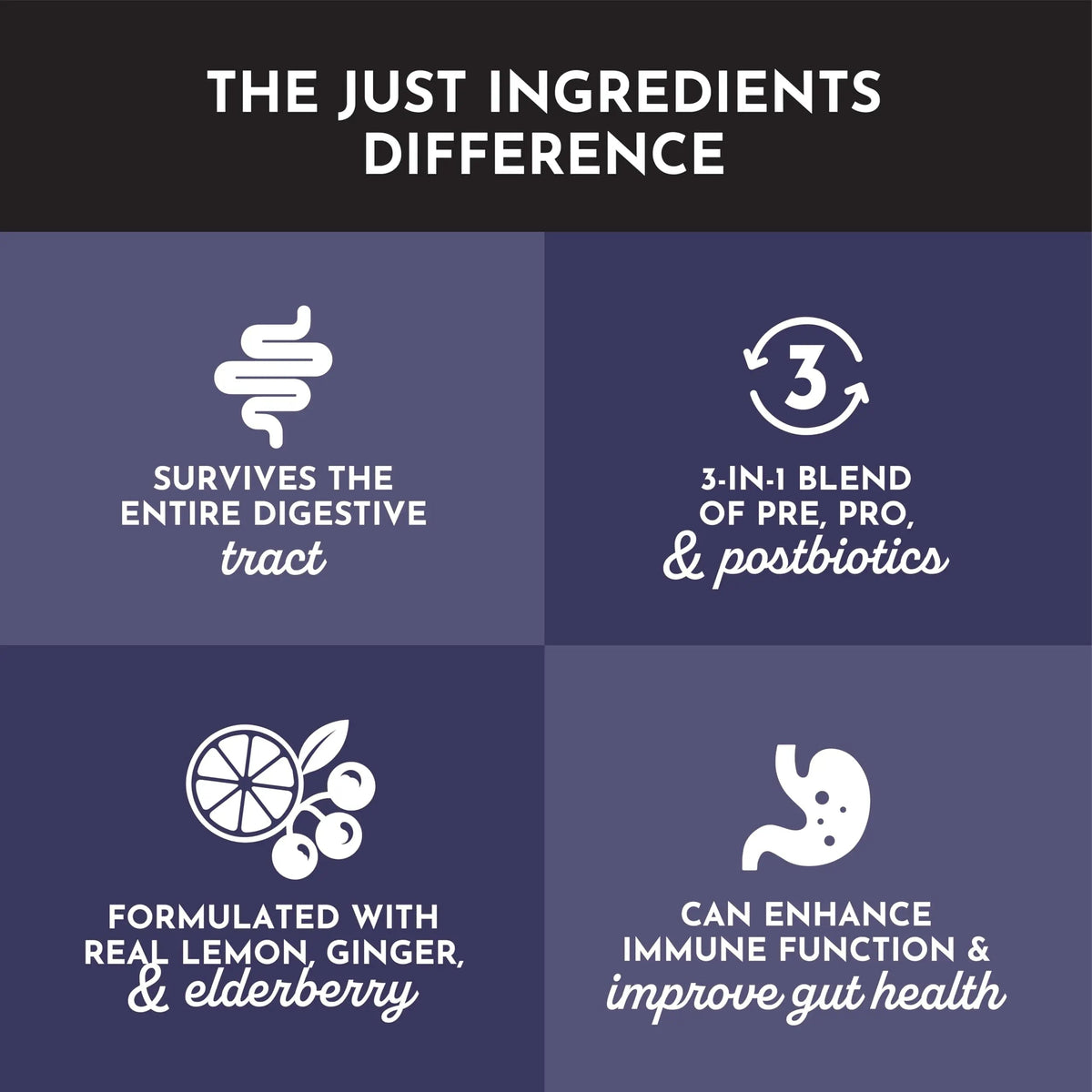 JUST INGREDIENTS Elderberry Lemonade 3-in-1 Probiotic Complex - Prebiotics, Probiotics & Postbiotics - 30 Sticks JUST INGREDIENTSBuy Supplements Australia