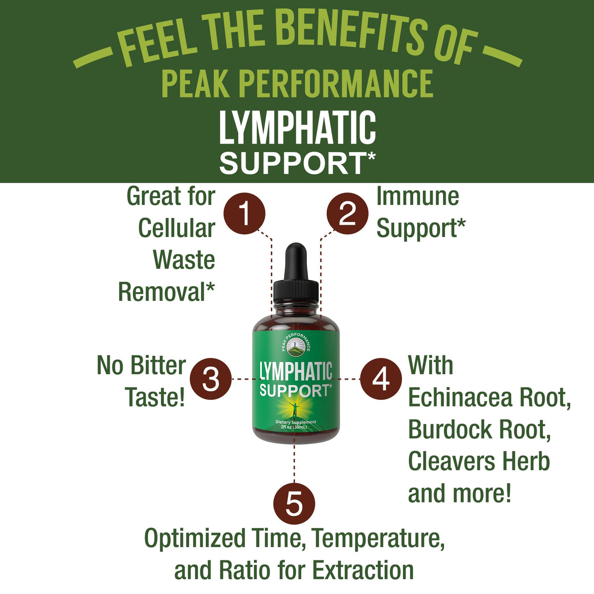 Lymphatic Drainage Drops. Sugar Free 7-in-1 Lymph Detox and Cleanse Support. Vegan Supplement with Echinacea, Red Clover Blossom, Burdock Root, Cleavers Herb, Licorice Root, and More! Peak PerformanceBuy Supplements Australia