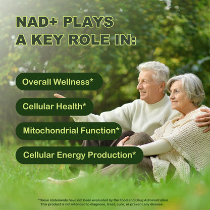 Lotnafee NAD+ Cellular Energy Supplement with Nicotinamide Riboside, Resveratrol, CoQ10, D-Ribose, Berry Flavor, 10 Vials LotnafeeBuy Supplements Australia