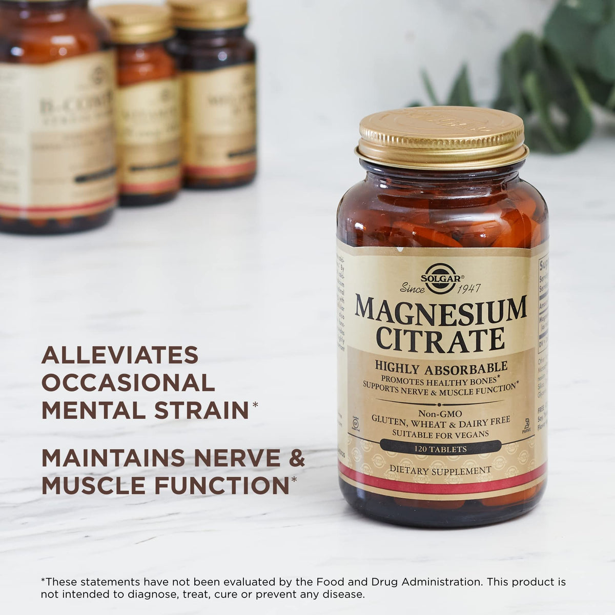 Solgar Magnesium Citrate - 120 Tablets, Pack of 2 - Promotes Healthy Bones, Supports Nerve & Muscle Function - Highly Absorbable - Non-GMO, Vegan, Gluten Free, Kosher - 120 Total Servings SolgarBuy Supplements Australia