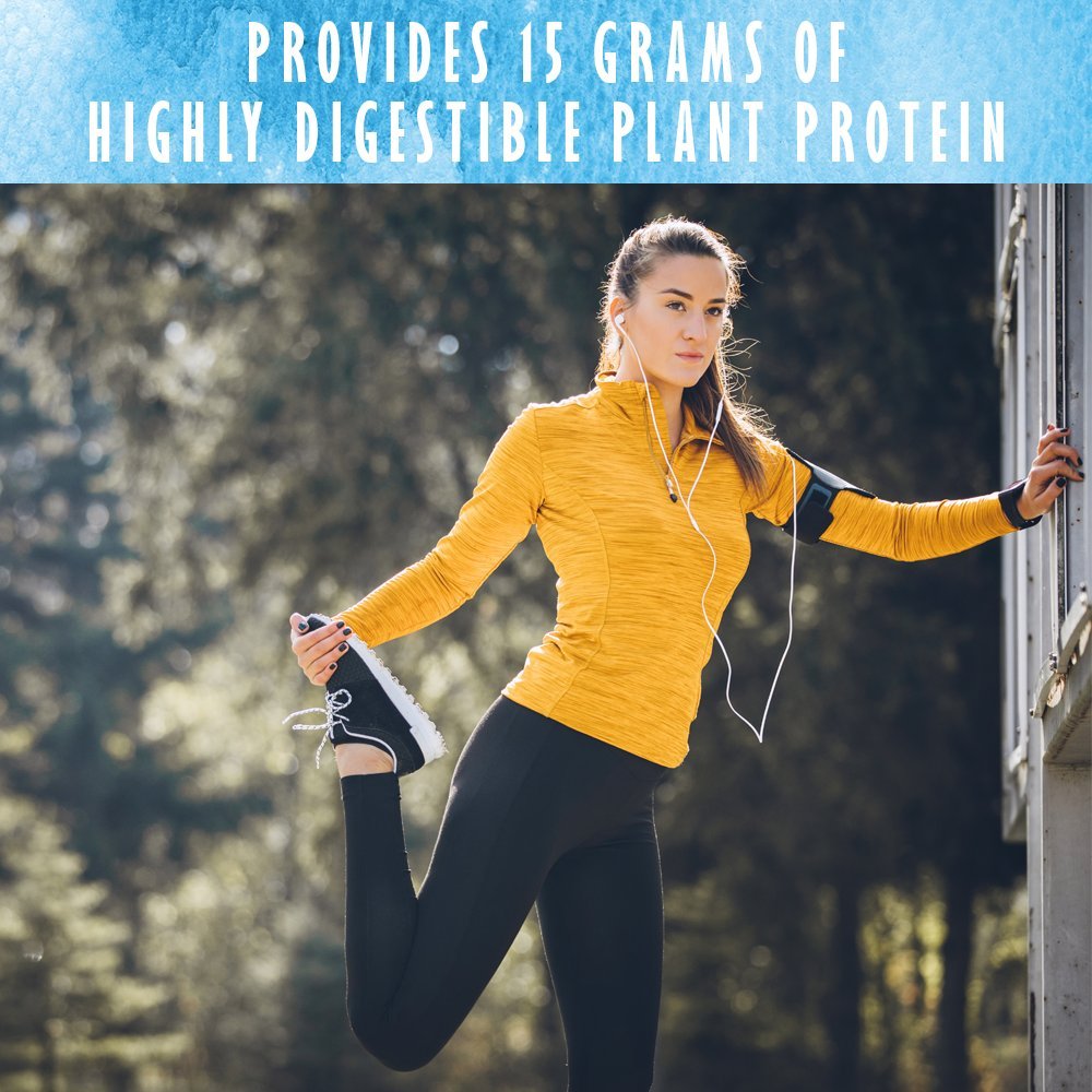 Garden of Life Organic Plant Based Protein Powder - Smooth Vanilla, Vegan, Grain Free Garden of LifeBuy Supplements Australia