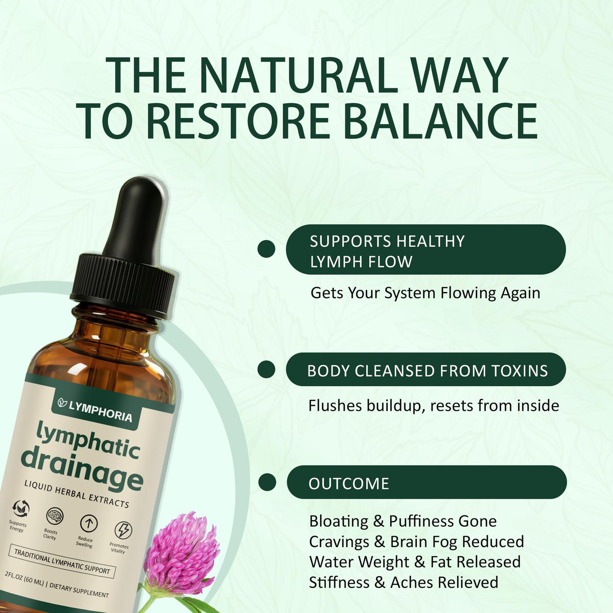 LYMPHORIA Lymphatic Drainage Drops | Promotes The Efficient Drainage of The Lymphatic System to Promote Overall Health LYMPHORIA buy supplements Au