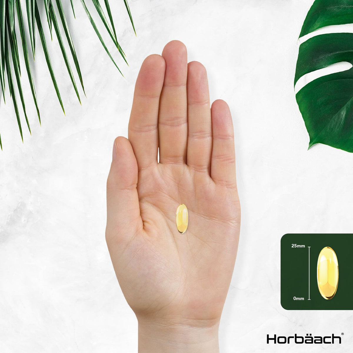 Triple Omega 3 6 9 Capsules | 180 Count | High Strength Supplement with DHA HorbäachBuy Supplements Australia