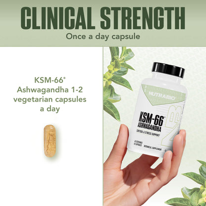 NutraBio Ashwagandha KSM-66 | Ashwagandha Herbal Supplement for Stress, Mood, & Performance | 600 MG of Clinically Studied KSM66 60 Capsules NutraBioBuy Supplements Australia