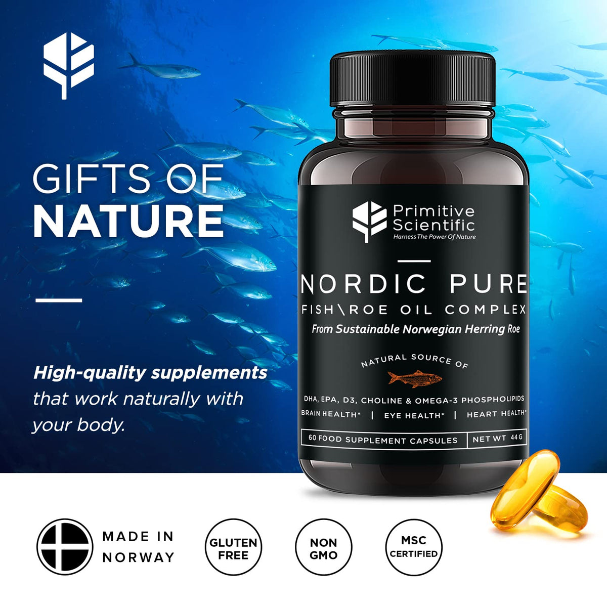 Primitive Scientific Nordic Pure Oil Complex (60 Fish Oil Capsules) for Brain, Immunity & Vision - Heart Supplement w/EPA, DHA, Vitamin D3, Choline - Omega 3 Supplements Primitive Scientific buy supplements Au