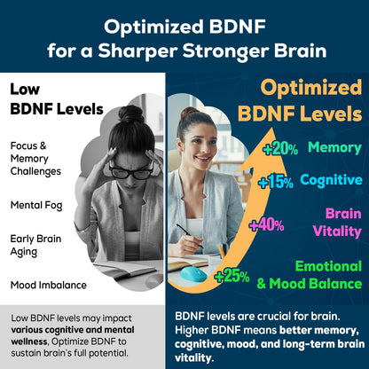 Nootropic Brain Supplement for Memory and Focus – BDNF Optimizer – Cognitive, Mental Clarity & Mood – High Absorption – Organic Lion's Mane, L-Theanine, Ginkgo Biloba & Alpha GPC – 60 Tablets QuorinthiumaxBuy Supplements Australia