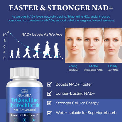 Nokuba NAD Supplement - NMNH Alternative with Trigonelline HCL 500mg & Resveratrol - NAD+ Precursors Plant Extraction - Support Cellular Energy & Healthy Aging & Brain for Women & Men - 90 Capsules NokubaBuy Supplements Australia