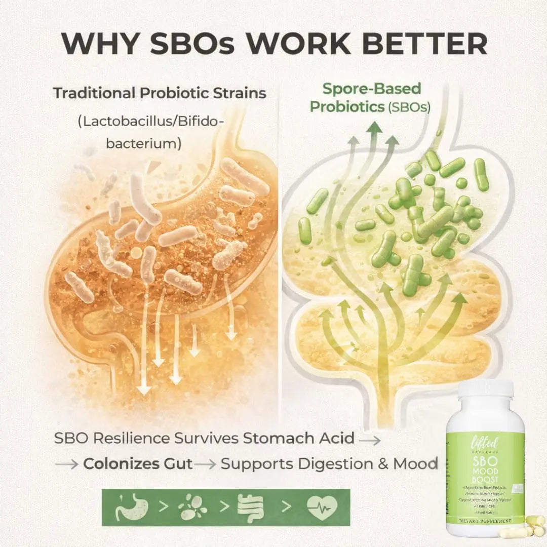 Lifted Naturals Spore Based Probiotic Probiotics - SBO Mood Boost - Spore/Soil-Based - Digestion & Natural Mood Support - Histamine-Free - 60 Day Supply, Non-GMO, Dairy-Free, Gluten-Free, Vegan Lifted Naturals buy supplements Au