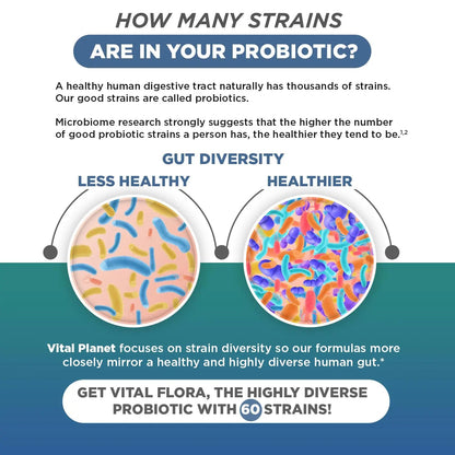 Vital Planet - Vital Flora Ultra Daily Probiotic 60 Billion CFU, Diverse Strains, Organic Prebiotics, Immune Support, Bloating Relief, Digestive Health Probiotics for Women and Men 60 Capsules Vital Planet buy supplements Au