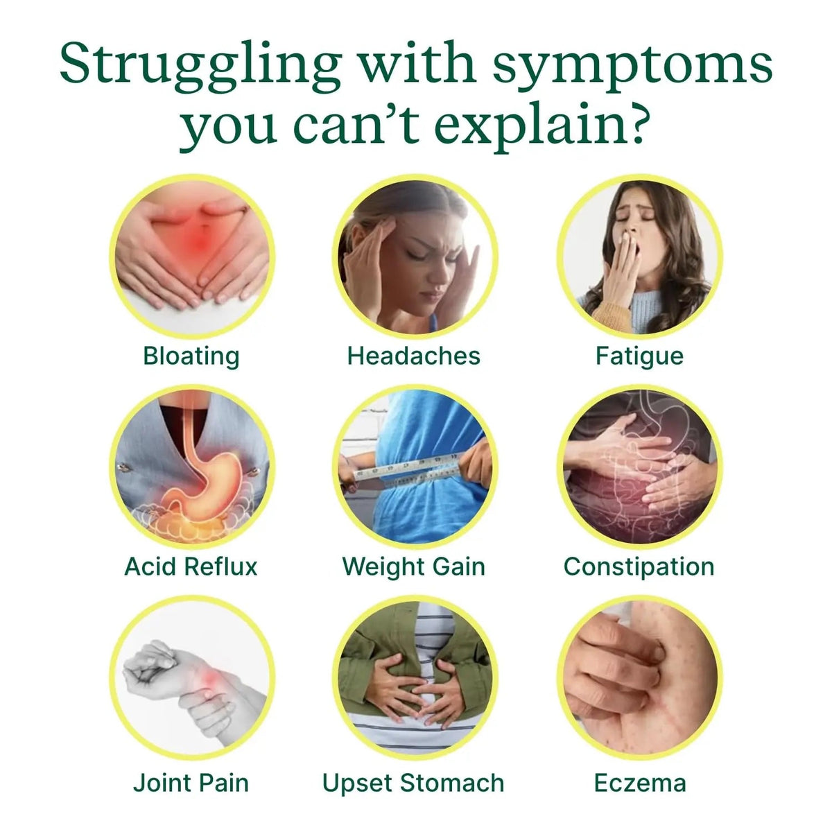 Check My Body Health 990 Items Complete Food Sensitivity Test Kit for Adults and Kids – Non-Invasive Food Intolerance Test Kit – at-Home Hair Sample Bioresonance Testing with Results in 3–5 Days Check My Body HealthBuy Supplements Australia