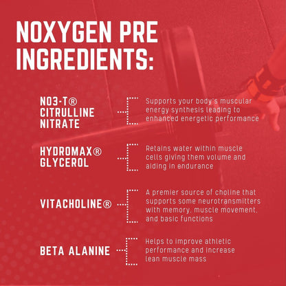 Purus Labs NOXYGEN PREWORKOUT Powder, 30 Servings (Blue Raspberry)