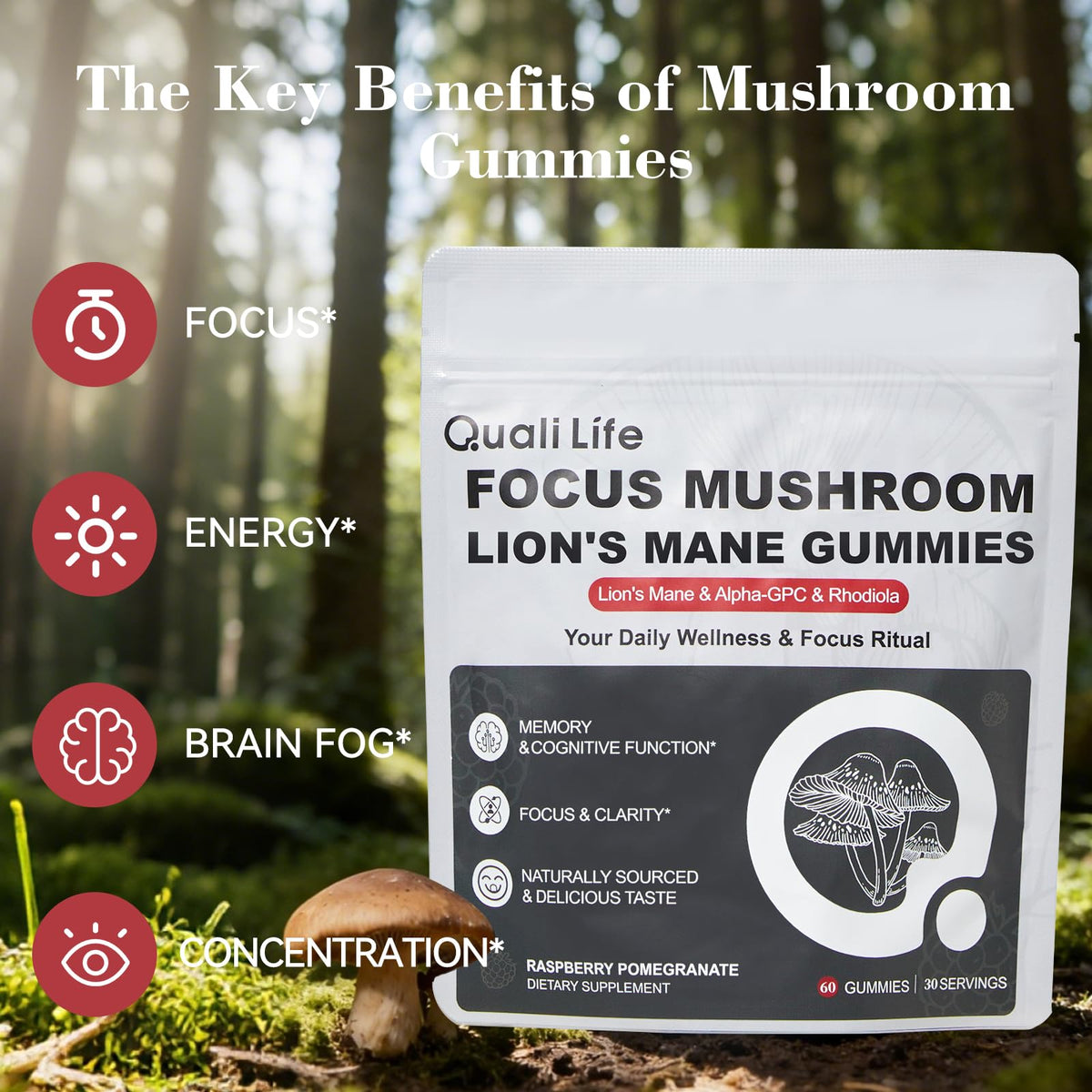 Mushroom Gummies with Lion’s Mane - Alpha Brain Gummy for Focus & Memory - Nootropic Focus Gummies with Rhodiola & Alpha-GPC – Vegan Brain Supplement, Raspberry Pomegranate Flavor, 60 Count (1) QualiLifeBuy Supplements Australia