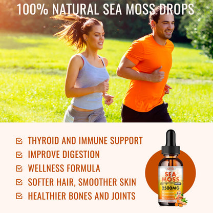 Sea Moss Liquid Drops: Organic Irish Sea Moss 2500mg with Turmeric, Bladderwrack dilibBuy Supplements Australia