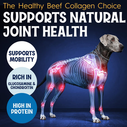 FETCHERONI 6" Collagen Sticks for Dogs – Low Odor Long-Lasting Bully Stick & Rawhide Alternative, Single Ingredient Beef Bone, High Protein Dental Treat, Vet Approved, Improves Joint Health – 20 Pack FETCHERONIBuy Supplements Australia