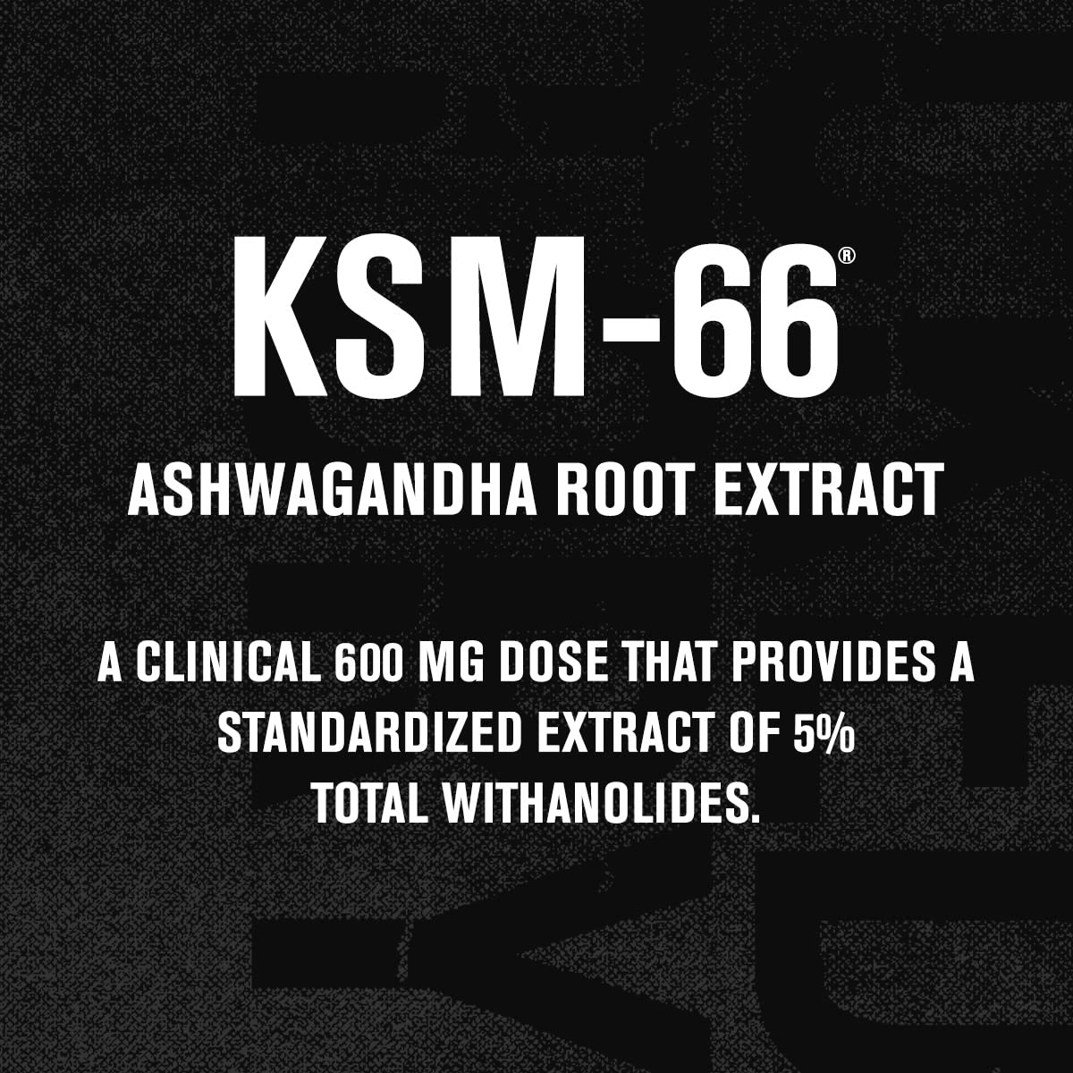 Jacked Factory Ashwagandha Root Extract (KSM-66 Ashwagandha) w/ 5% Withanolides - Supplement for Natural Stress Relief, Cognitive Function, Vitality, and Mood Support - 60 Veggie Capsules Jacked FactoryBuy Supplements Australia
