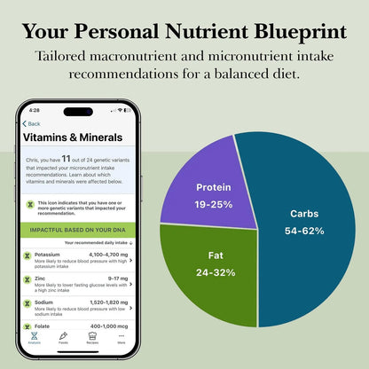 GenoPalate Nutrition DNA Test Kit | 100+ Optimal Foods & Tailored Diet | Genetic Health Report & Personalized Wellness | Macro & Micronutrient Recommendations | Stress & Eating Insights GenoPalateBuy Supplements Australia