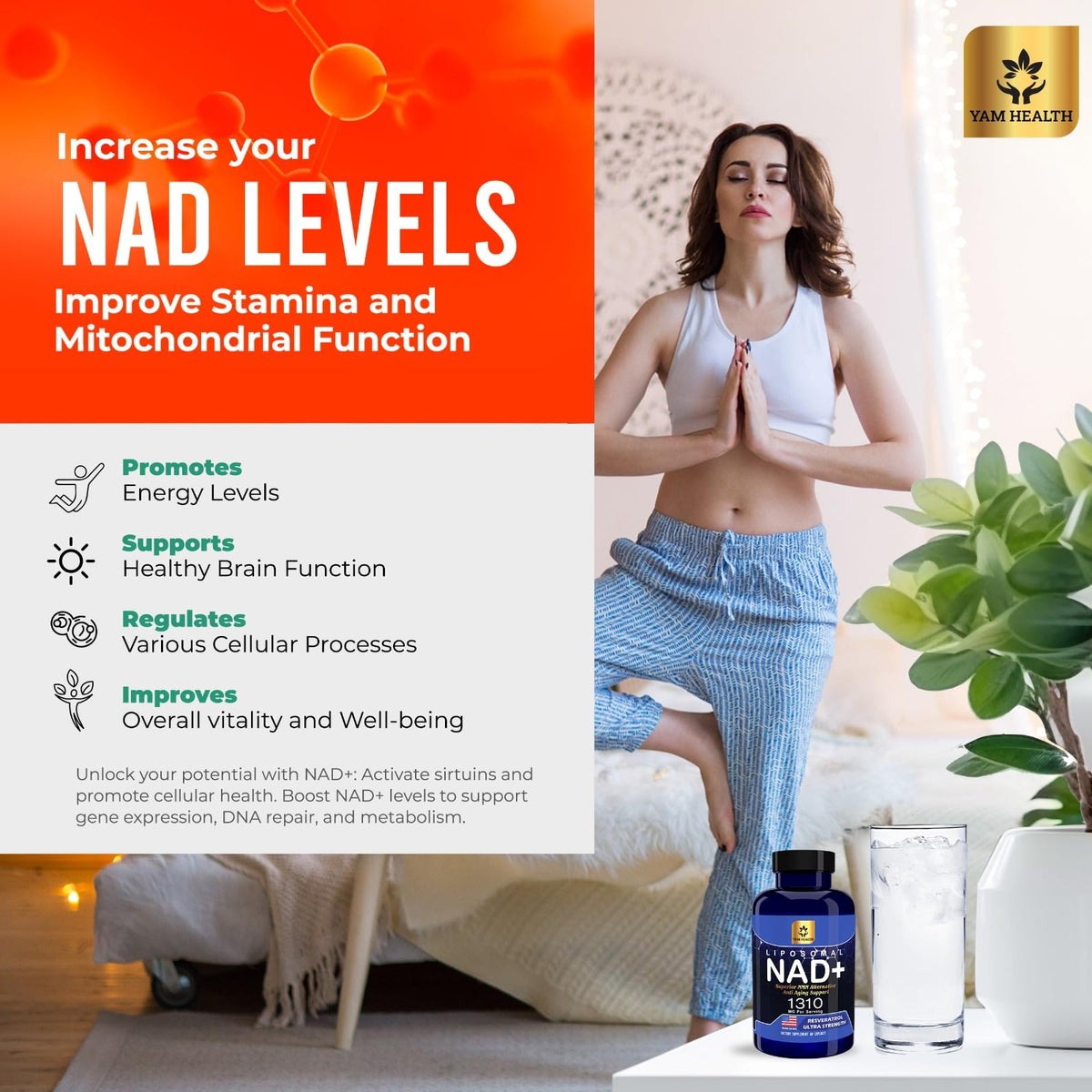 YAM Health Liposomal NAD Nicotinamide Riboside Equivalent with Trans-Resveratrol 300mg, Premium Halal NAD Supplement for Energy Metabolism, DNA Repair and Longevity, Vegan, Non-GMO (60 Count) YAM HealthBuy Supplements Australia
