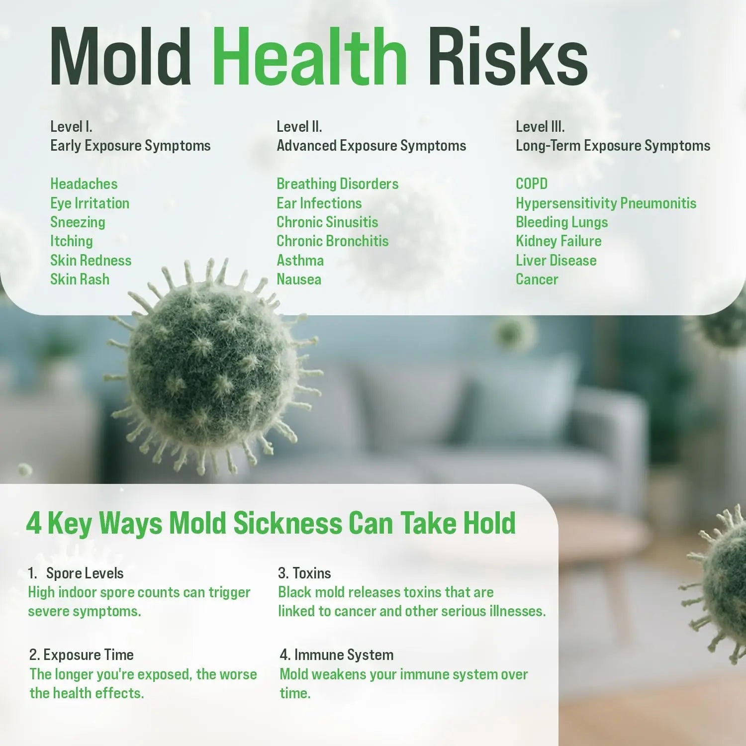 Microbial Mold Test Kit for Home - Indoor Air Quality and Surface Testing - Detects Black Mold, Mildew, and Fungi - Air and Surface Mold Detection Kit with Lab Analysis Included MICROBIAL MAINTENANCEBuy Supplements Australia