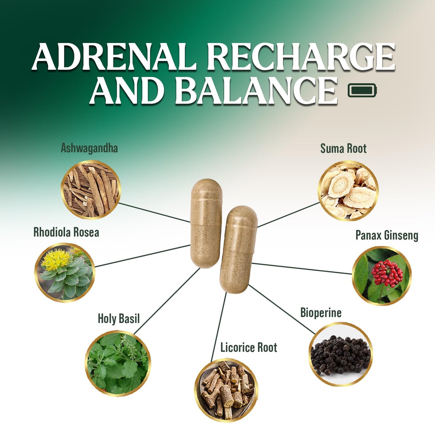 Nature's Nutrition Adrenal Support Supplements Cortex Complex, Best Energy Supplement, Supports Health & Energy Levels, Daily Ashwagandha for Women & Men, Supports Immune System, 120 Capsules Nature's NutritionBuy Supplements Australia