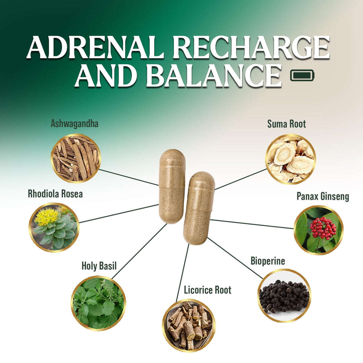 Nature's Nutrition Adrenal Support Supplements Cortex Complex, Best Energy Supplement, Supports Health & Energy Levels, Daily Ashwagandha for Women & Men, Supports Immune System, 120 Capsules Nature's NutritionBuy Supplements Australia