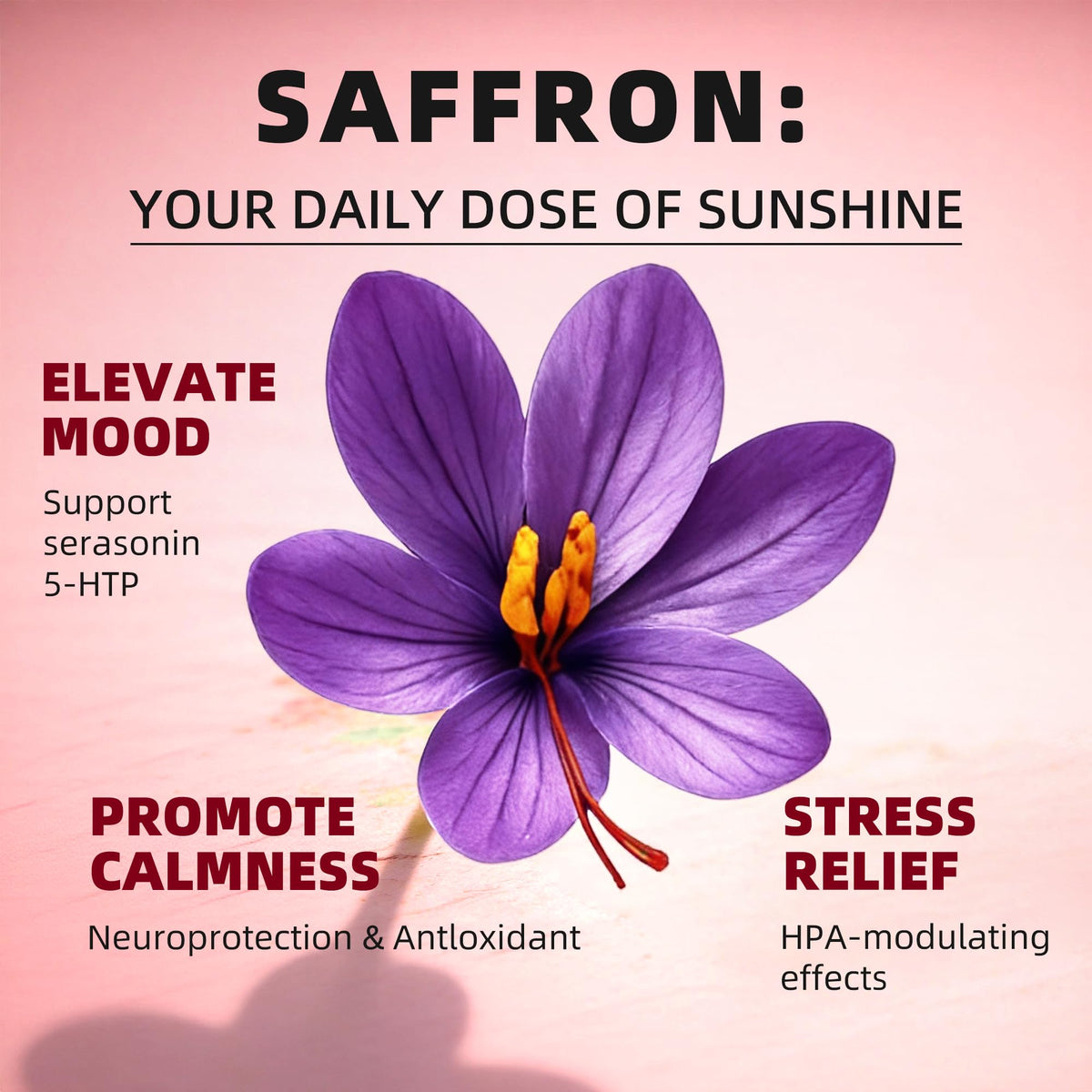 GREENPEOPLE Saffron Extract Supplements Drop - 24-in-1 88.5mg Saffron Extract with Ashwagandha,Black Cohosh & Lion's Mane for Mood&Focus,Stress Relief,Cortisol Reducer,Menopause – Vegan 2FL OZ GREENPEOPLEBuy Supplements Australia